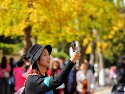 冷空气渗透下青岛明后两天气温偏低，晴朗干燥天持续“把控”天气舞台