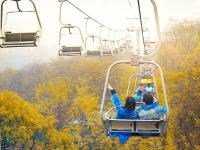 送你一组初冬壁纸，据说错过要等一年！