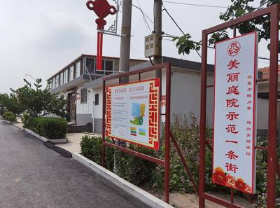 美丽庭院示范户达4.3万户 胶州市妇联为乡村振兴贡献巾帼力量