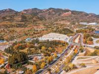 金色狂欢，世博园开启秋末色彩酷炫模式