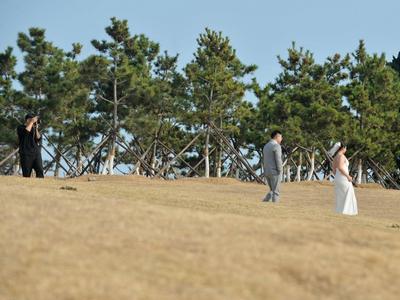 冬日的小麦岛公园，依然是拍美照的打卡地