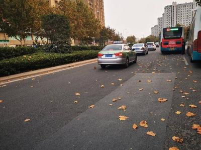 北风劲吹，霜冻冰冻纷纷上线！青岛何时入冬？答案来了……