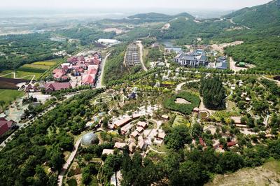 农业“新六产”综合发展指数位居全省首位——乡村振兴系列（5）