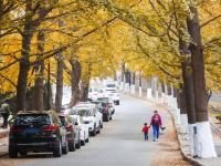 送你一组初冬壁纸，据说错过要等一年！