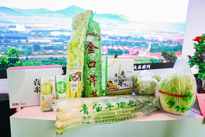 视频|第三届中国（青岛）国际品牌农产品博览会正式启幕