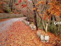 雨后北九水：红叶铺地，美得动人心弦