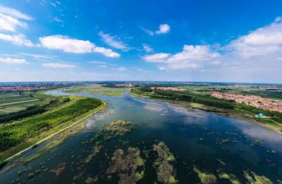 好山好水好民风！唱响乡村振兴的生态和谐之歌——乡村振兴系列（18）