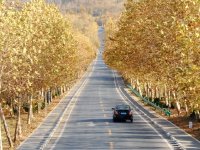 送你一组初冬壁纸，据说错过要等一年！