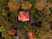 与落叶最后的约会！八大关迎来深冬时节