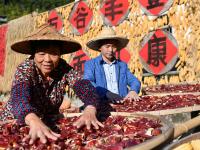 福建尤溪：诗意桂峰 晒秋人家