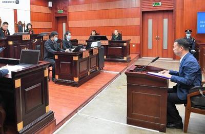 非法获利2亿余元，“百名红通人员”白静贪污违法所得没收案一审宣判