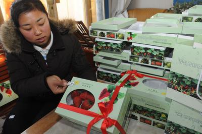 培育新型职业农民 为乡村振兴提供坚实力量——乡村振兴系列（17）