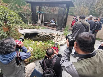 揭牌，参展，采风 观海新闻摄影师在这里嗨了起来