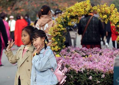 争妍斗艳的中山公园菊展，你get到了吗