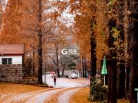 雨后北九水：红叶铺地，美得动人心弦