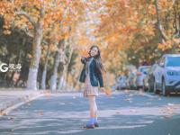 八大关的银杏黄啦，一起去拥抱深秋吧！