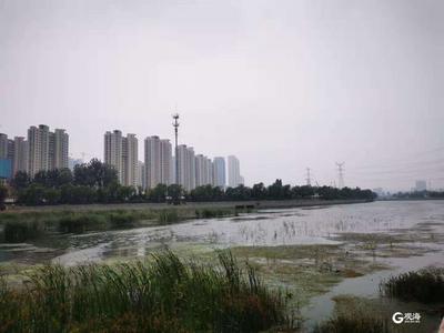 市北启动黑臭水体监测整治，6条河流完成点位勘测