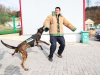 重复指令上千次，特殊“警员”养成记|青岛警察故事②