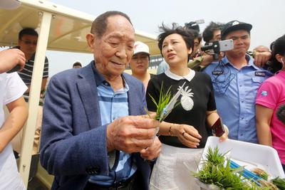 院士+专家为农民送知识 人才激活乡村振兴一池春水——乡村振兴系列（14）