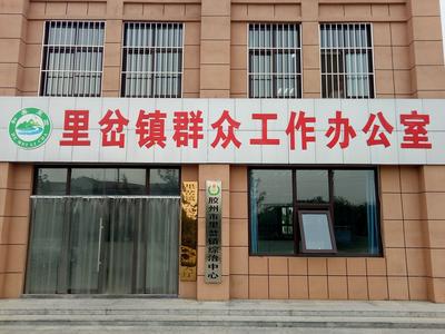 优化农村公共服务 激活乡村振兴新动能——乡村振兴系列（12）