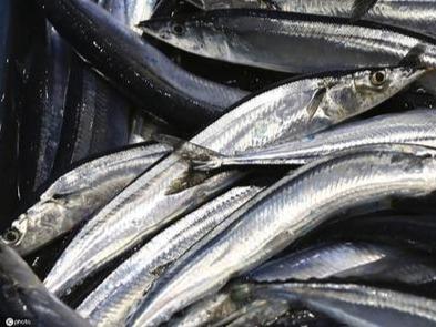 自福州流向临沂的进口刀鱼检出弱阳性，已采取应急处置措施