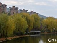 垂柳迢迢微泛黄，初冬李村河别有一番景致