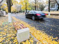 一场雨后，太平角的这条路竟然这么美