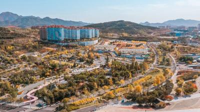 金色狂欢，世博园开启秋末色彩酷炫模式