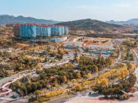 金色狂欢，世博园开启秋末色彩酷炫模式