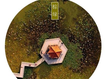 每张都能当壁纸！秋冬的青岛竟如此多彩