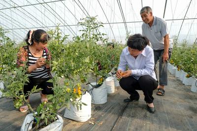 院士+专家为农民送知识 人才激活乡村振兴一池春水——乡村振兴系列（14）