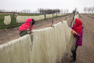 农闲人不闲 粉条变"金条":粉条加工旺季来啦