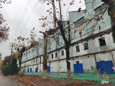 第一场冬雨后的老四方机厂