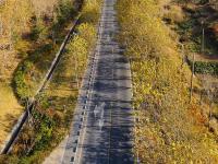 送你一组初冬壁纸，据说错过要等一年！