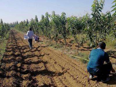 平度潍莱高铁森林植被恢复项目顺利通过验收