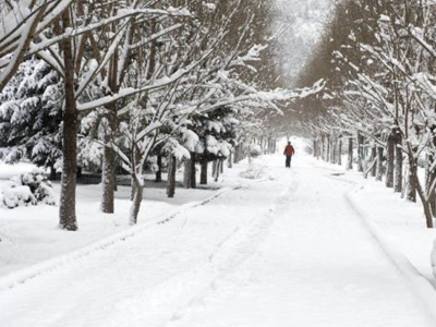暴雪袭击东北！部分铁路、民航航班受影响停运或取消，多地学校停课