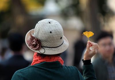 树叶落了海鸥来了，与秋天来一场浪漫告别