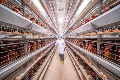 农业“新六产”综合发展指数位居全省首位——乡村振兴系列（5）