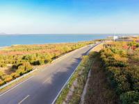 送你一组初冬壁纸，据说错过要等一年！