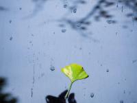 雨水打湿了一座城，初冬超有质感|青画⑭