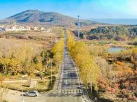 送你一组初冬壁纸，据说错过要等一年！