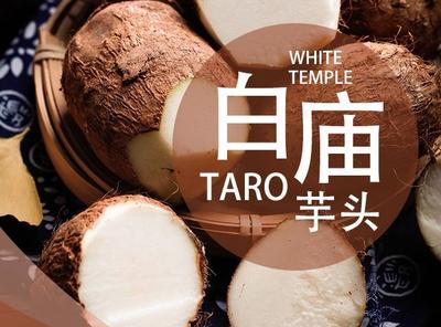 舌尖上的青岛网红农品 隔着屏幕流口水——乡村振兴系列（7）