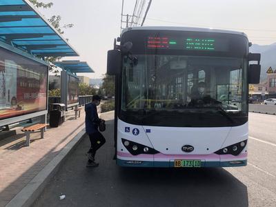 崂山区这5条新建道路获命名，看看有没有你常经过的？