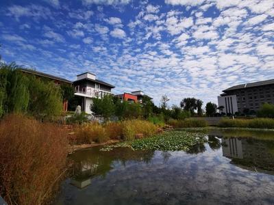 未觉池塘春草绿，阶前梧叶已秋声——深秋的实高园，你见过吗？