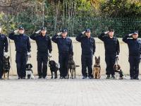 重复指令上千次，特殊“警员”养成记|青岛警察故事②