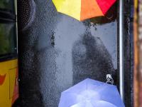 雨水打湿了一座城，初冬超有质感|青画⑭