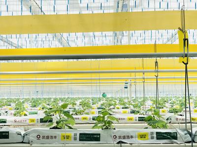 795个大项目助力青岛乡村发展——乡村振兴系列（2）