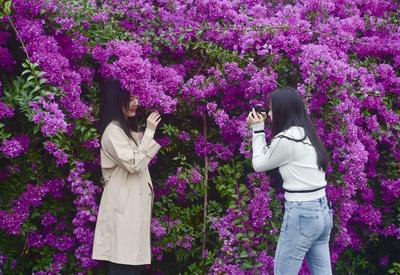 福建福州：“意外”的美丽
