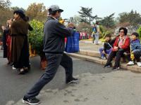 争妍斗艳的中山公园菊展，你get到了吗