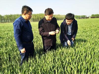 选优配强村庄“领头雁”  村干部是乡村振兴主力军——乡村振兴系列（11）